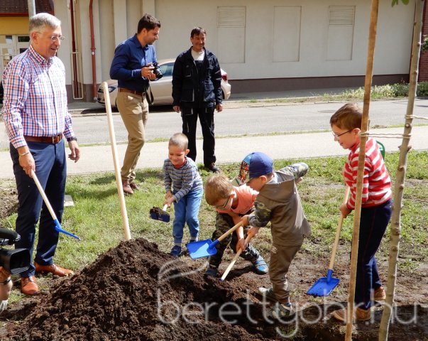 Életfát ültettünk 15